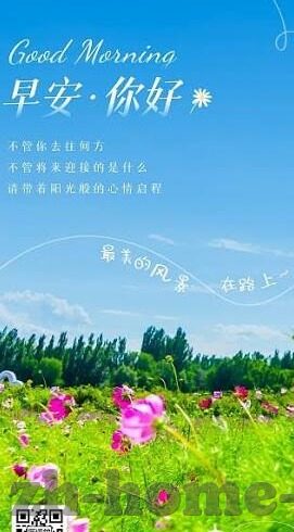 足球即时比分118-足球即时比分118，数字背后的激情与策略，一场永不落幕的绿茵盛宴